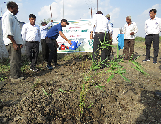 World Environment Day