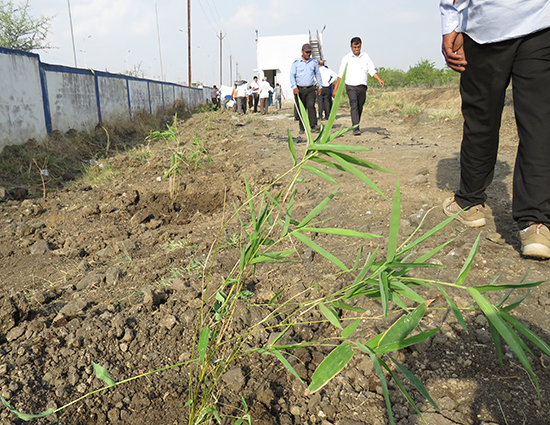 World Environment Day