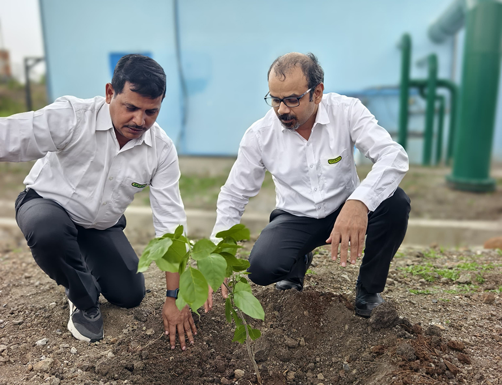 World Environment Day Plantation Drive